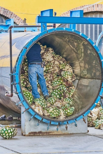 A panoramic view of a José Cuervo tequila distillery in Tequila, Jalisco, Mexico, showing the agave fields and the traditional production process. The sky is clear and the sun is shining, highlighting the beauty of the landscape.