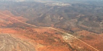 El Éxito de Volaris: Estrategias de la Aerolínea Low Cost Mexicana - Cover Image