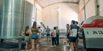 El Secreto de Grupo Modelo: Éxito Global de Corona y Modelo Especial El Secreto de Grupo Modelo: Éxito Global de Corona y Modelo Especial - Cover Image