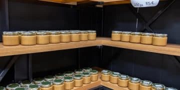 Sigma Alimentos: Diversificación y Liderazgo en el Mercado Mexicano - Cover Image