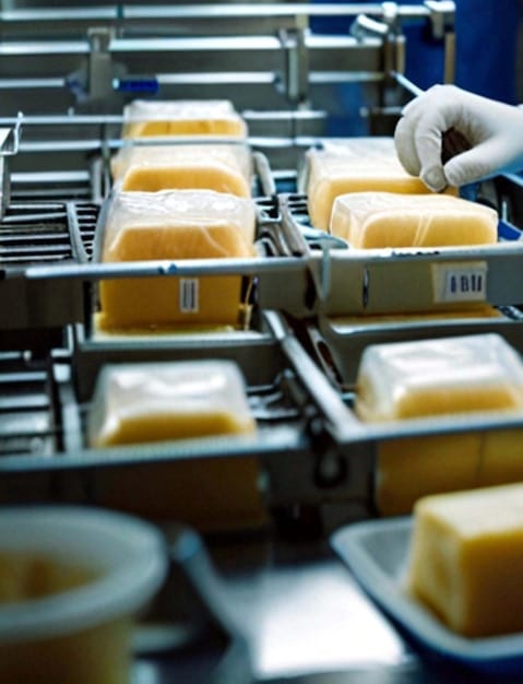 A close-up of a Sigma Alimentos production line in Mexico, showcasing the automated process of packaging sliced ham and cheese. The scene highlights aspects of food safety, hygiene, and industry best practices.